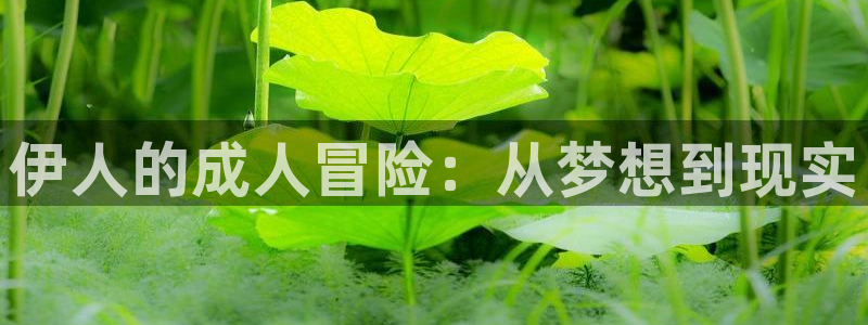 行业资讯